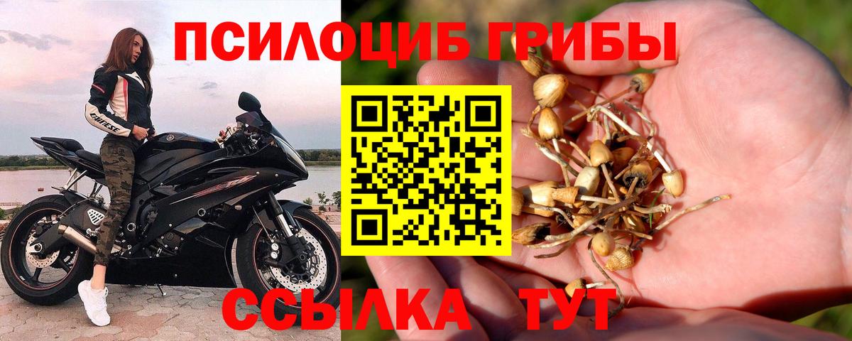 Галлюциногенные грибы MAGIC MUSHROOMS  Галлюциногенные грибы ЛСД  Конаково  Вход с VPN 